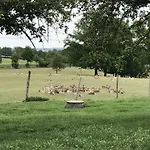 公寓 Familie Nahrstedt Wildblick 勒包