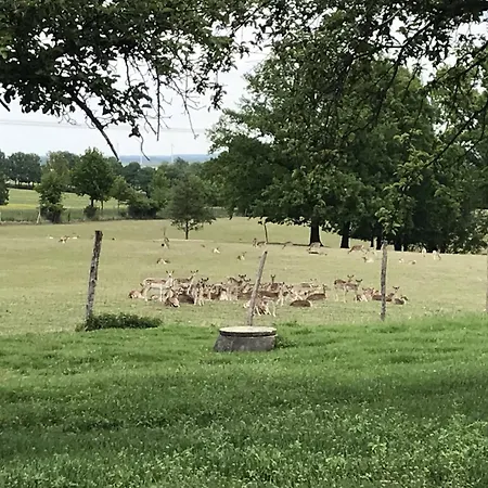 Familie Nahrstedt Wildblick Лёбау