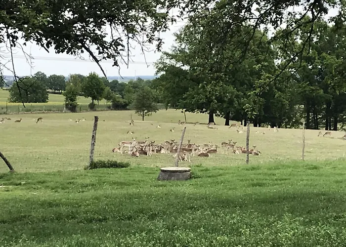 Familie Nahrstedt Wildblick 勒包